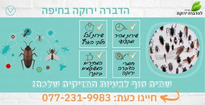 הדברה ירוקה בחיפה