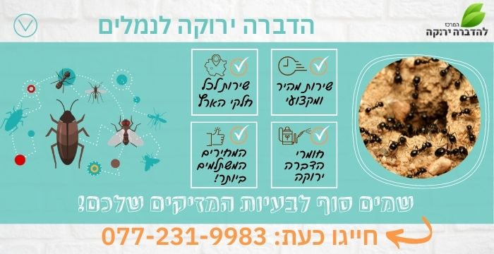 הדברה ירוקה לנמלים